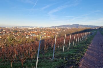 Blick auf Freiburg am 25.12.